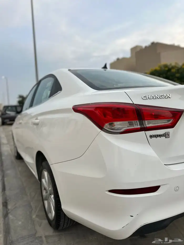 شانجان السفن وارد المجدوعي فل كامل 16