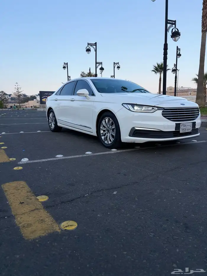 تووس اللون أبيض 2