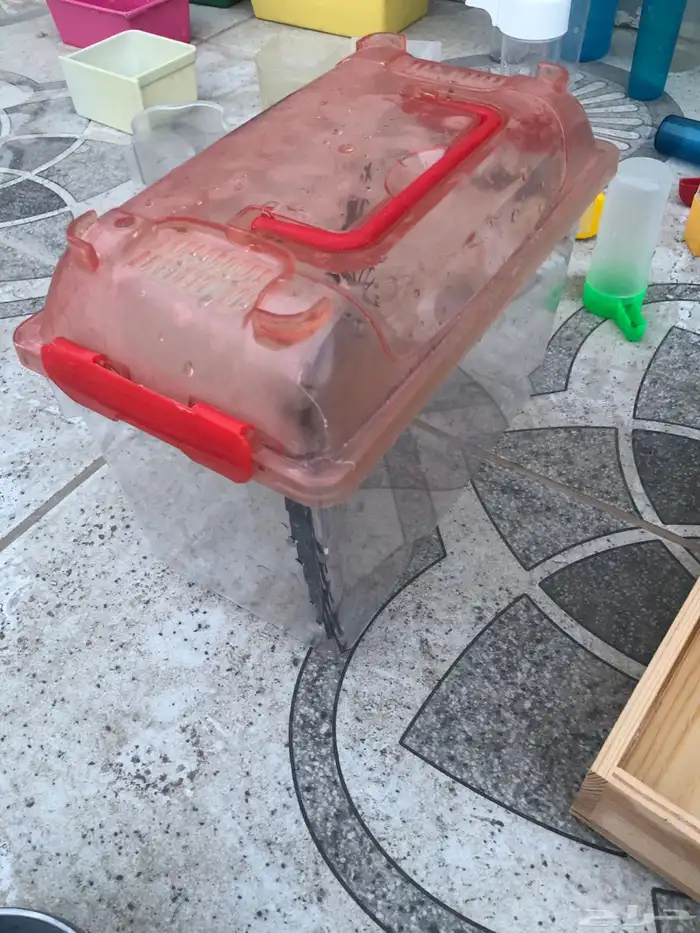 مجموعة من مستلزمات الطيور 12