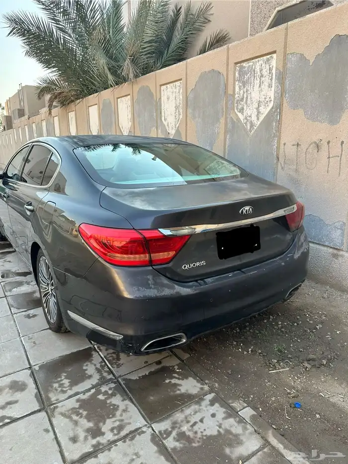 كيا كوريس 2013 9