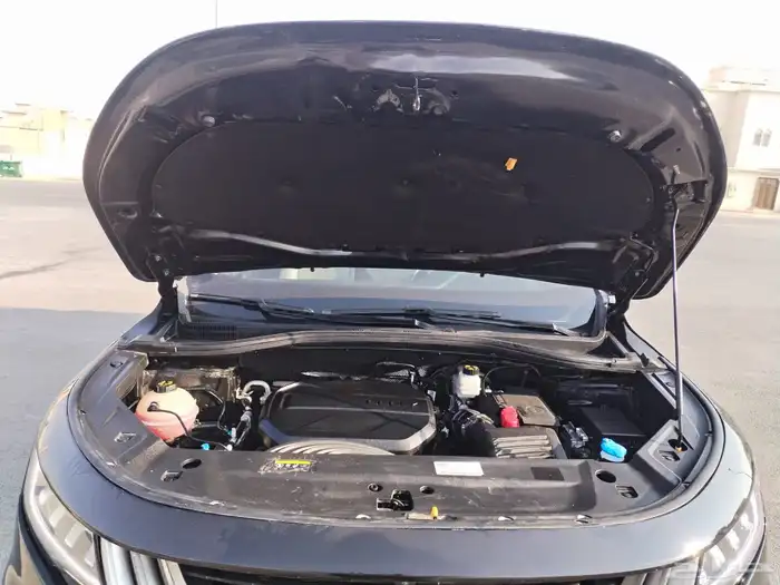 جيلي اوكفانجو 13