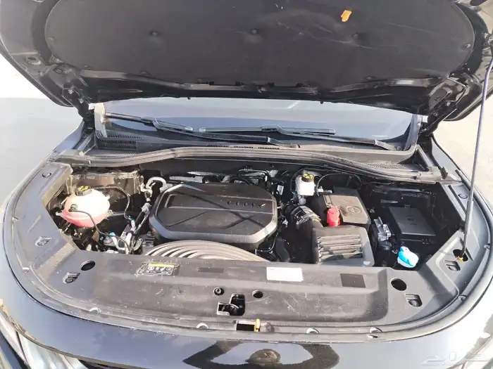 جيلي اوكفانجو 25