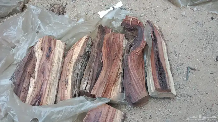 حطب للبيع مستورد قرض 0