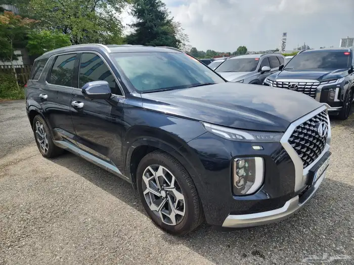 باليسيد كالغرافي اعلى فئه بحاله الوكاله عدادات ديجتال 0