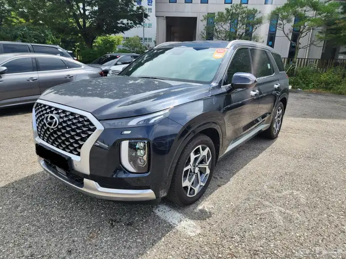 باليسيد كالغرافي اعلى فئه بحاله الوكاله عدادات ديجتال 1