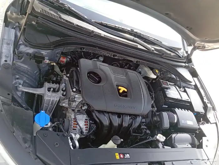 الانترا 2019 4