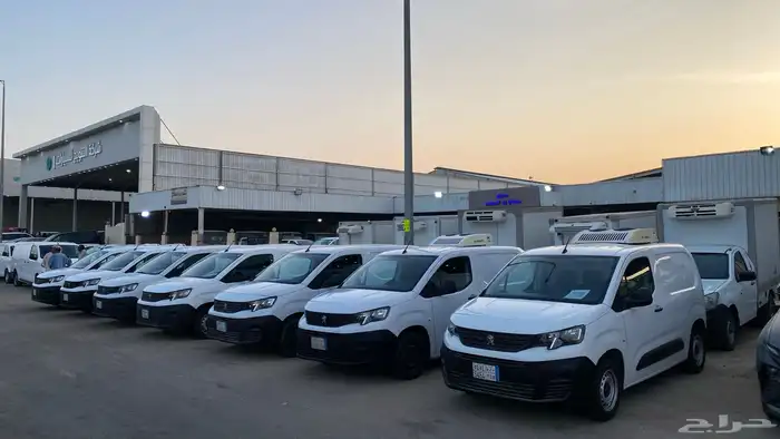 بيجوات ثلاجة وبضاعة كمية كبيرة للبيع 1