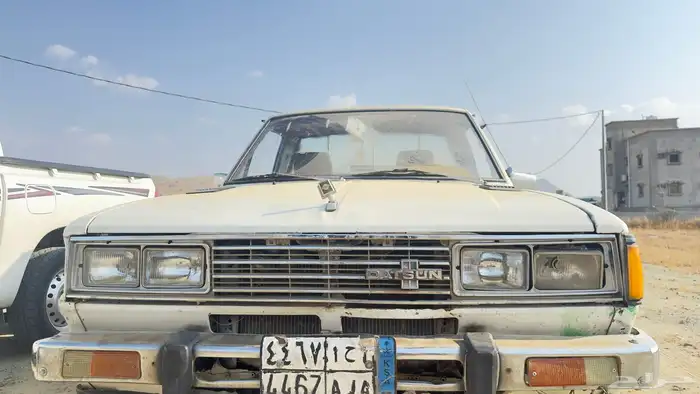 ددسن موديل83 3