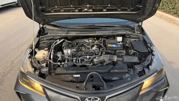 كورولا 2021 33