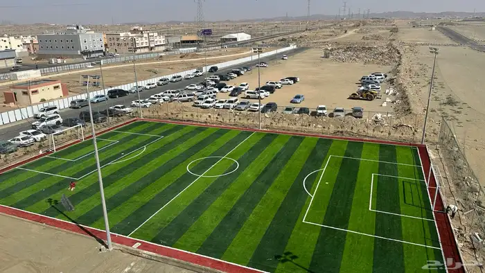 عشب ملاعب 15