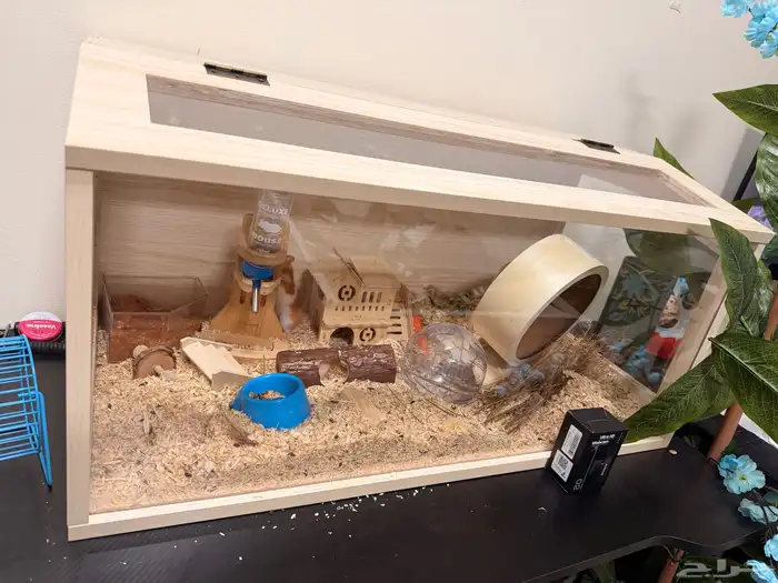 هامستر مع البيت حقه بكامل اغراضه واكله 1