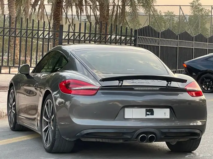 بورش كايمن 2014 6