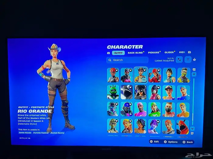 حساب فورت نايت ويلد كات 10