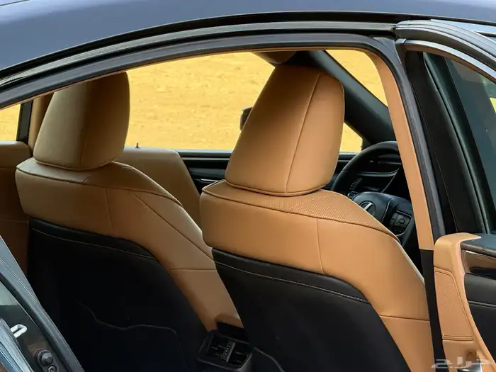 لكزس ES300h 2022 ممشى (68) الف 6