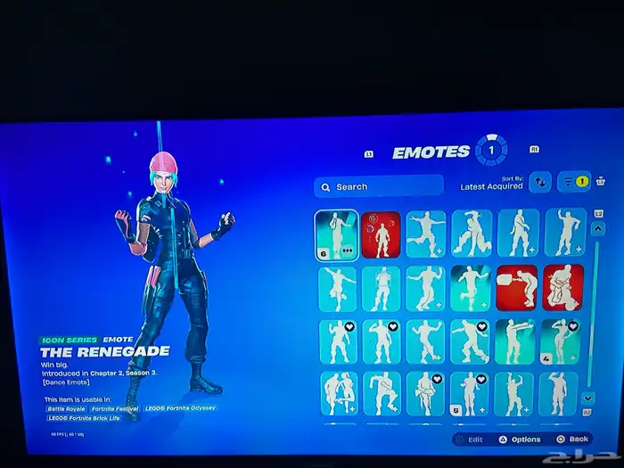 حساب فورت نايت ويلد كات 44