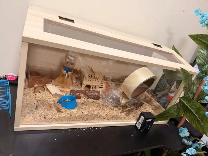 هامستر مع البيت حقه بكامل اغراضه واكله 0