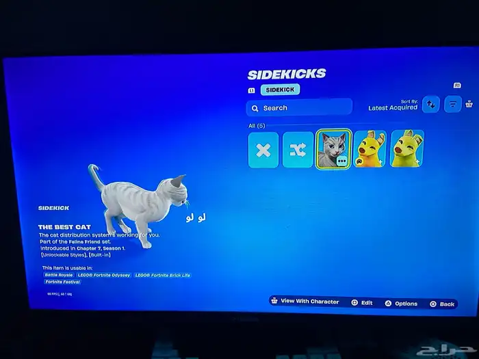 حساب فورت نايت ويلد كات 36