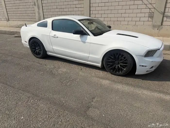 موستنج 2013-2014 للبيع قطع مشروطة 5