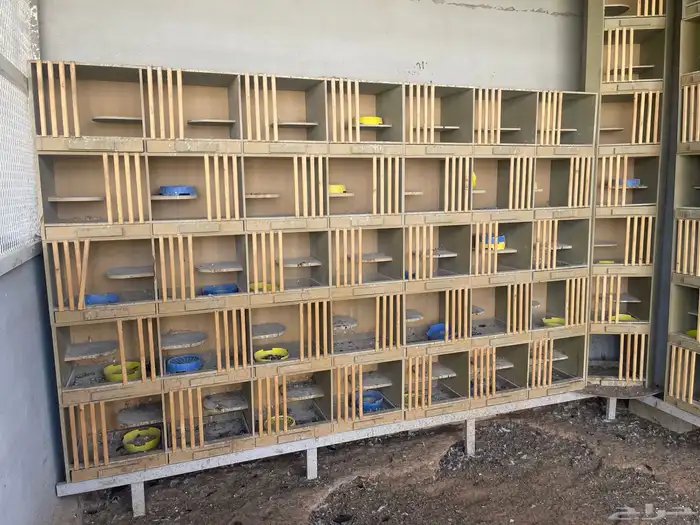 محاكر حمام او رفوف 4