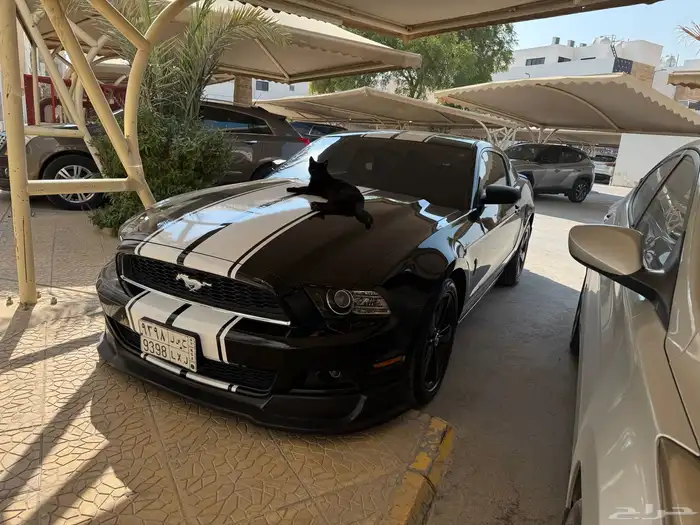 مخزن موستنج2013مميز وبحالة الوكالة كت شيلبي وتعديل روعة 50