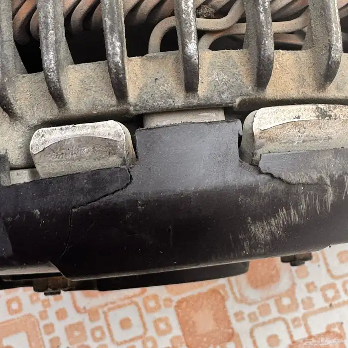 دينمو موستنق 2015-2017 1