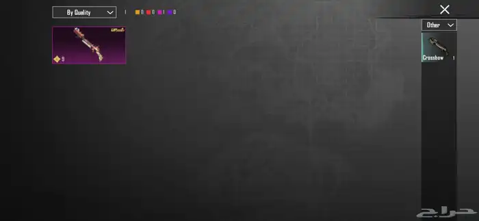 حساب ببجي للبيع 74