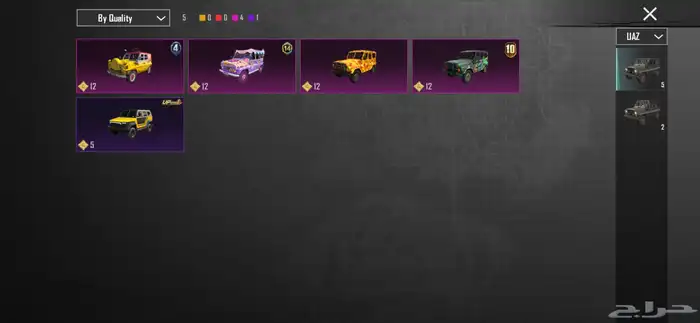 حساب ببجي للبيع 79