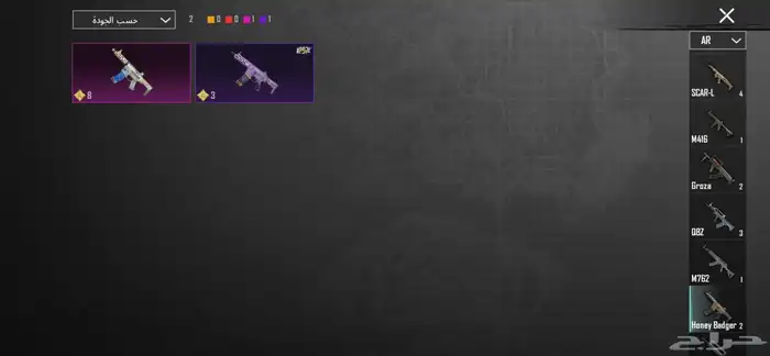 حساب ببجي للبيع لفلل 65 21