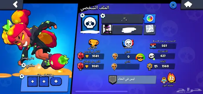 حسابات براول ستارز للبيع 3