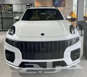 لينك اند كو 09 2024 ثلاث صفوف 7 ركاب لاكجري 5