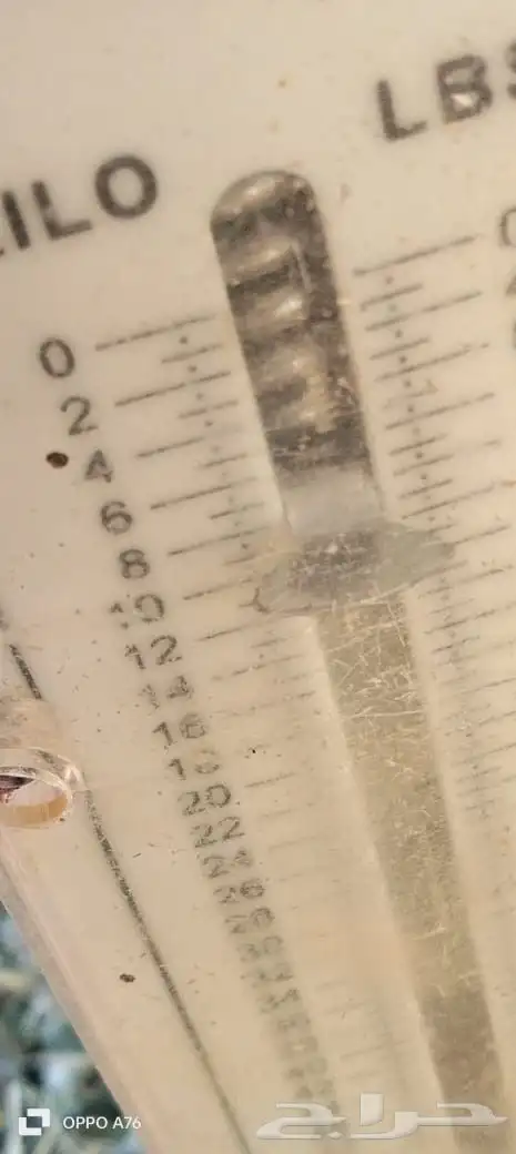 برسيم مخلوط بدون شوك 6