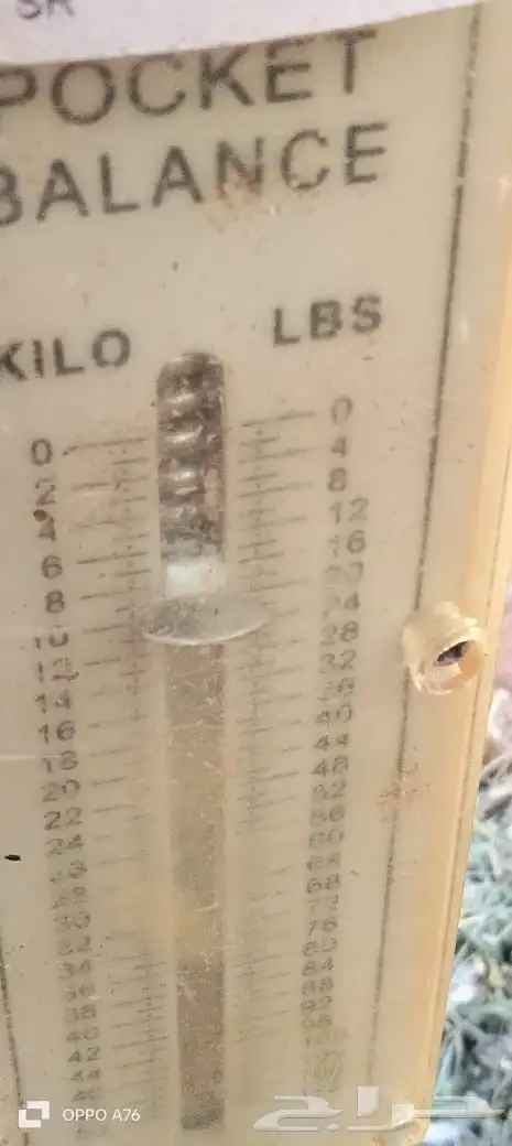 برسيم مخلوط بدون شوك 5