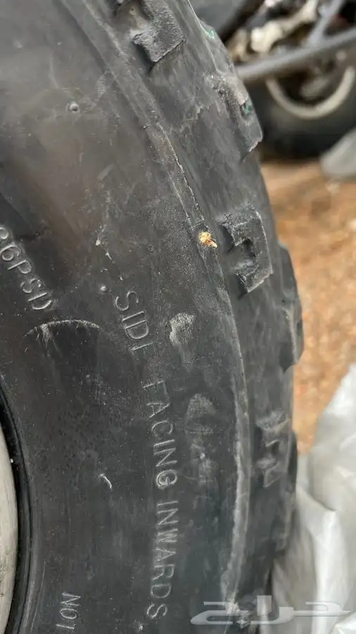 كفرات بانشي او رابتر 1