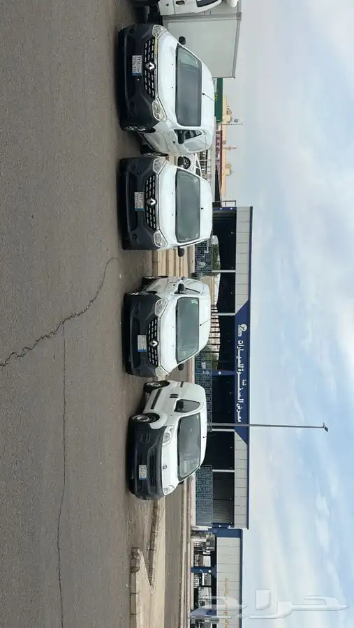 رينو للبيع 0