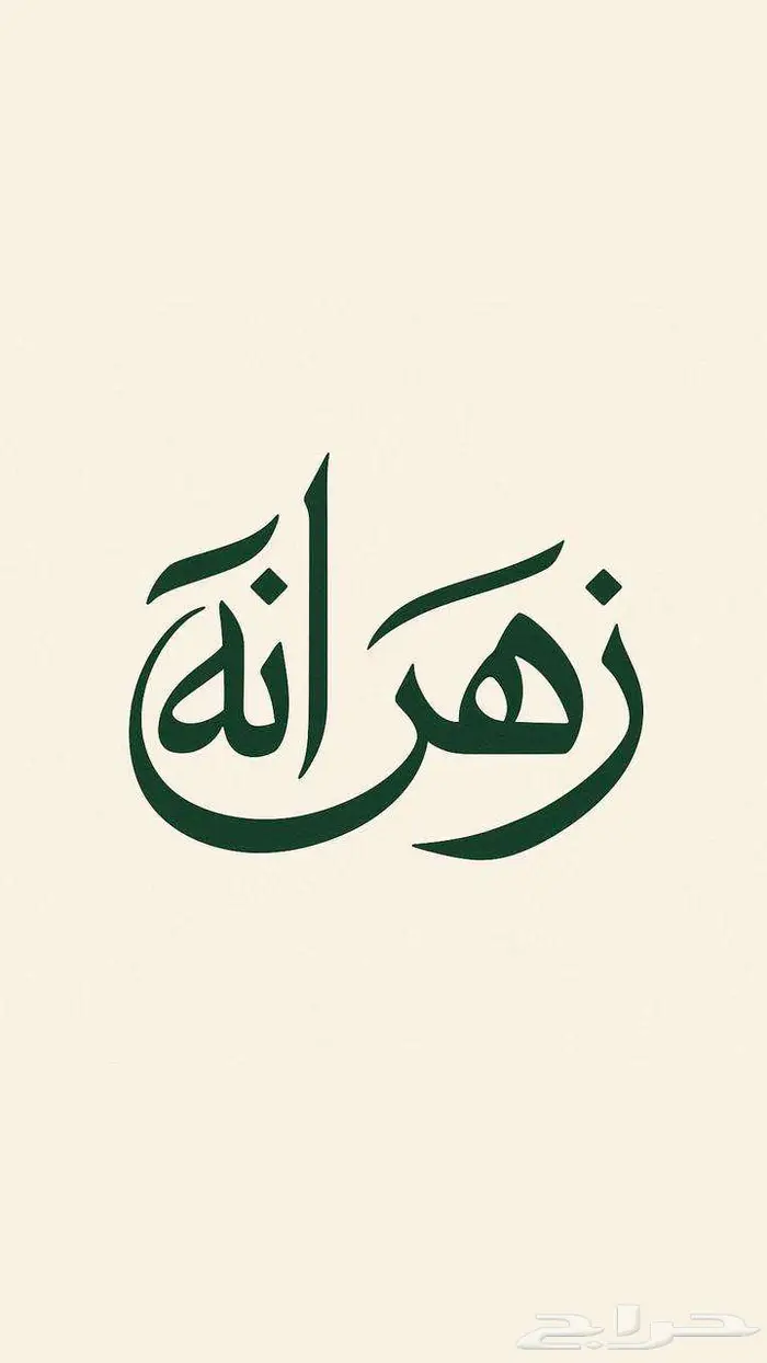 خدمات رقمية مهندمة   إدخال بيانات. تصميم ملفات. تنسيق تقارير 0