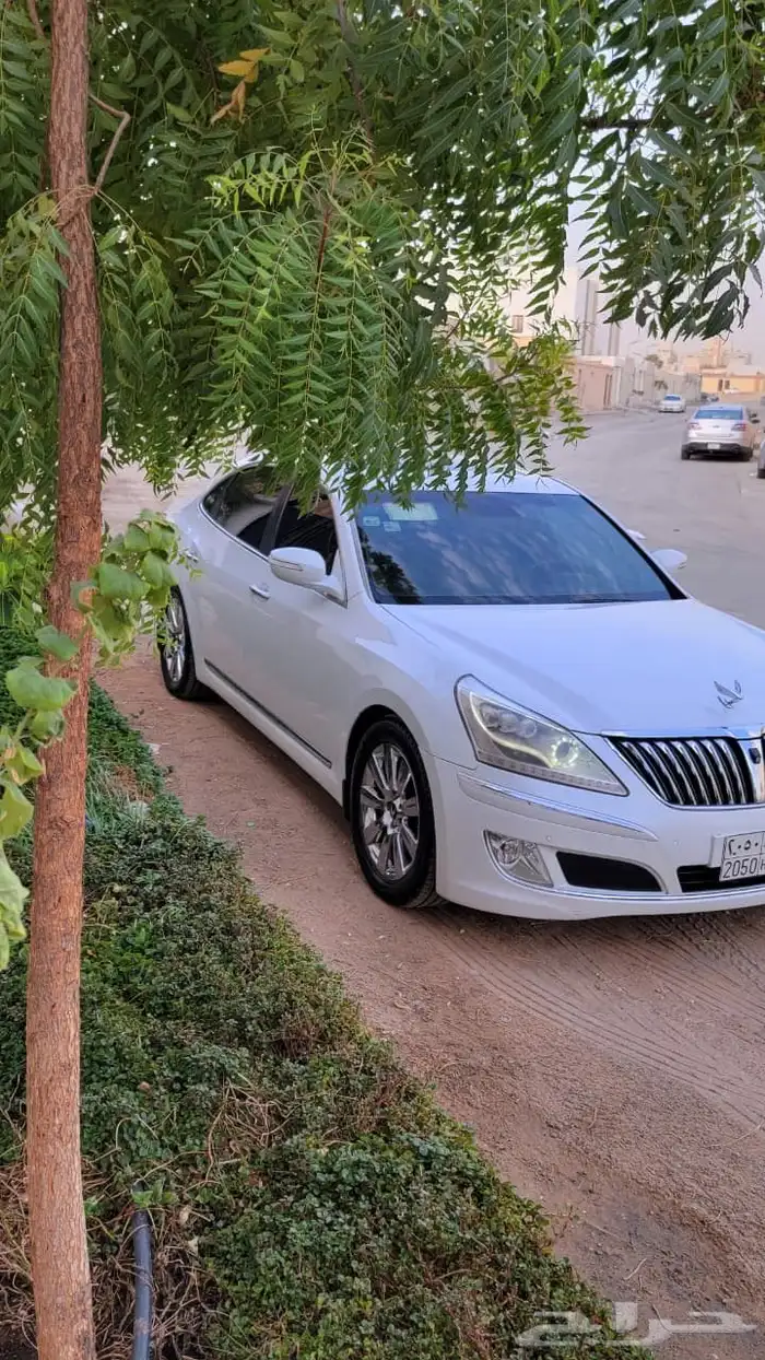 سنتنيال 2013 V8 فل كامل 5