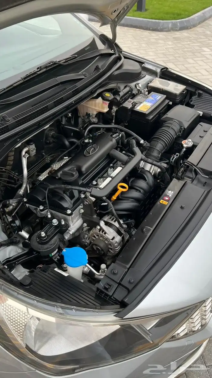 أكسنت 2023 البدي وكاله المالك الاول 21