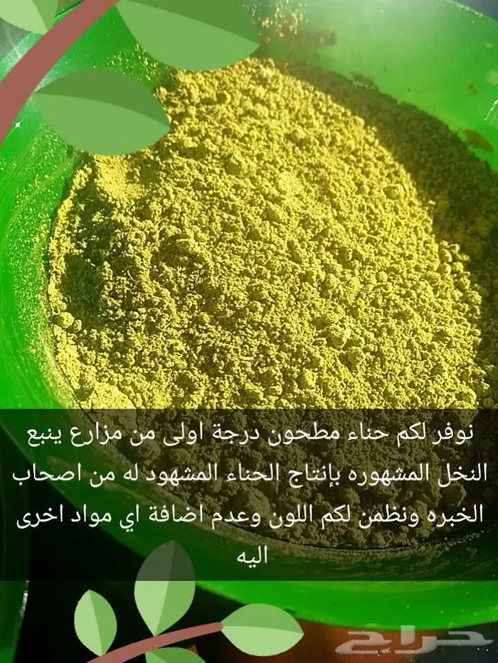 حناء وسدر ينبع النخل 5