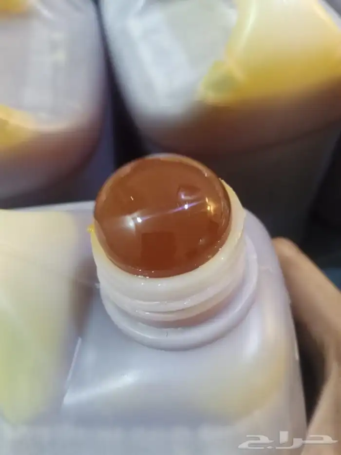 عسل بغية أصلي 2