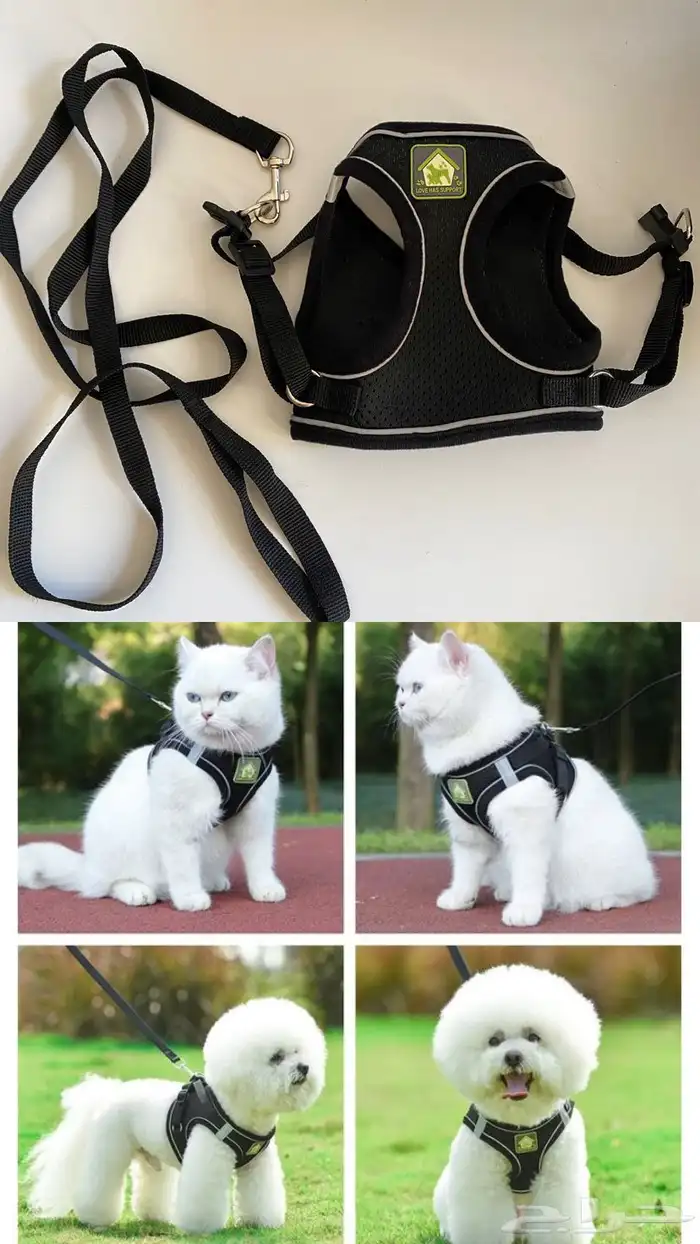 مستلزمات قطط للبيع 7