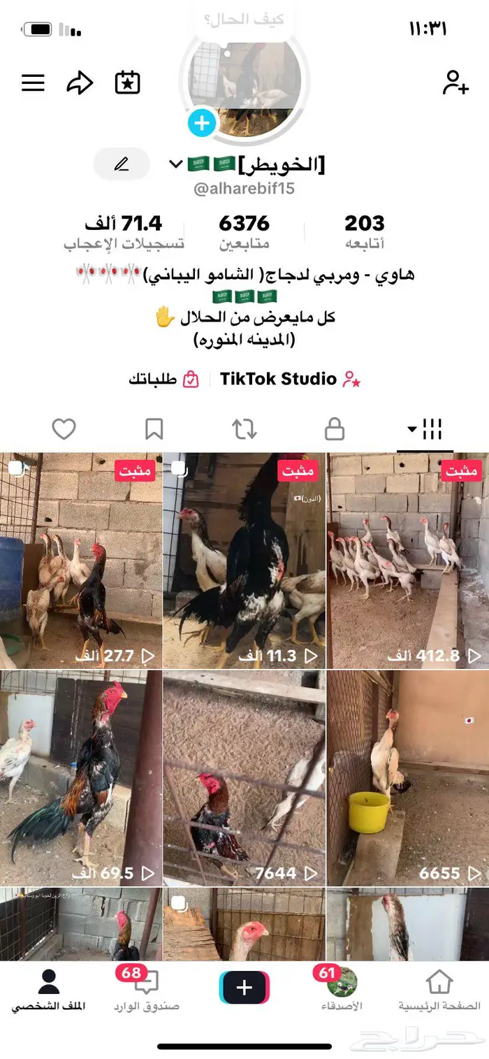 فروخ شامو يباني تووب 2