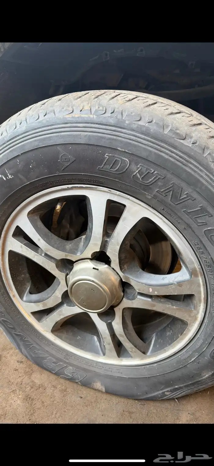 جنوط فراشه للبيع 2