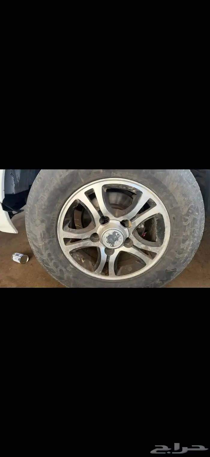 جنوط فراشه للبيع 3