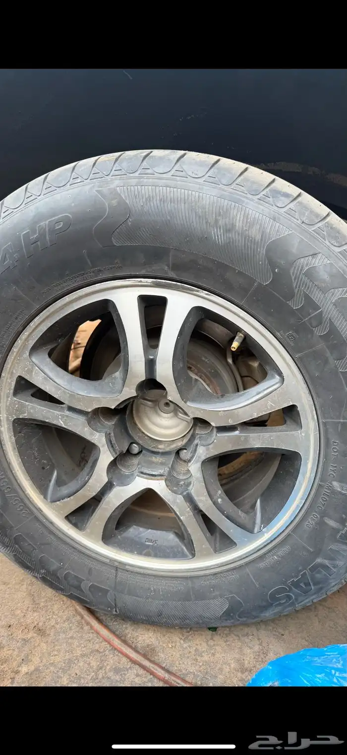 جنوط فراشه للبيع 1