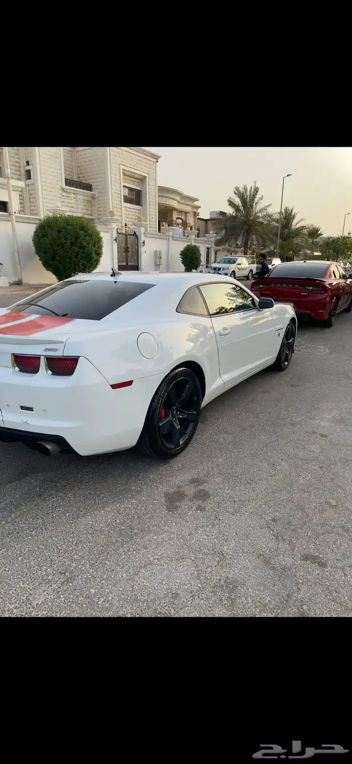 كومارو ss 2011 4