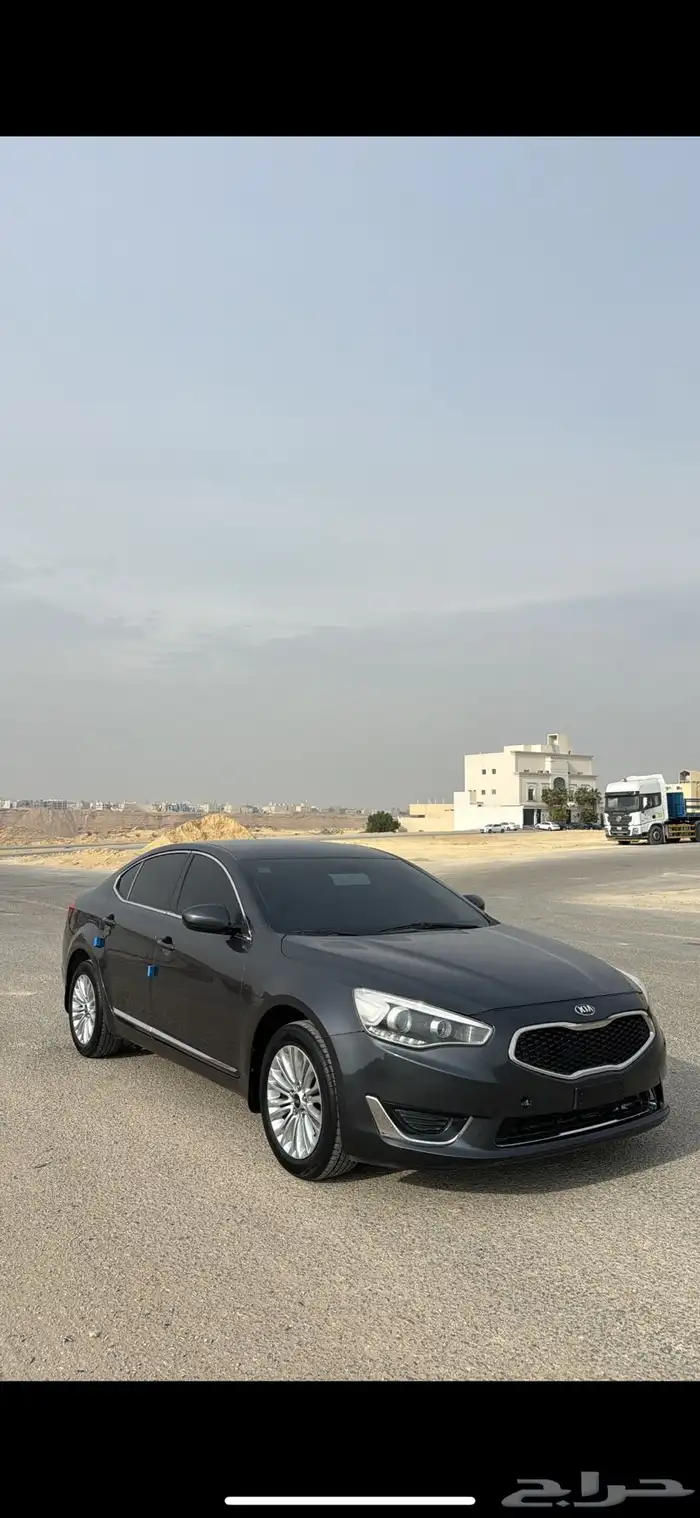 كادينزا 2014 6