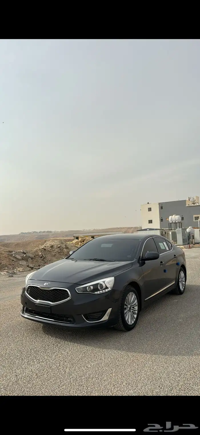 كادينزا 2014 5