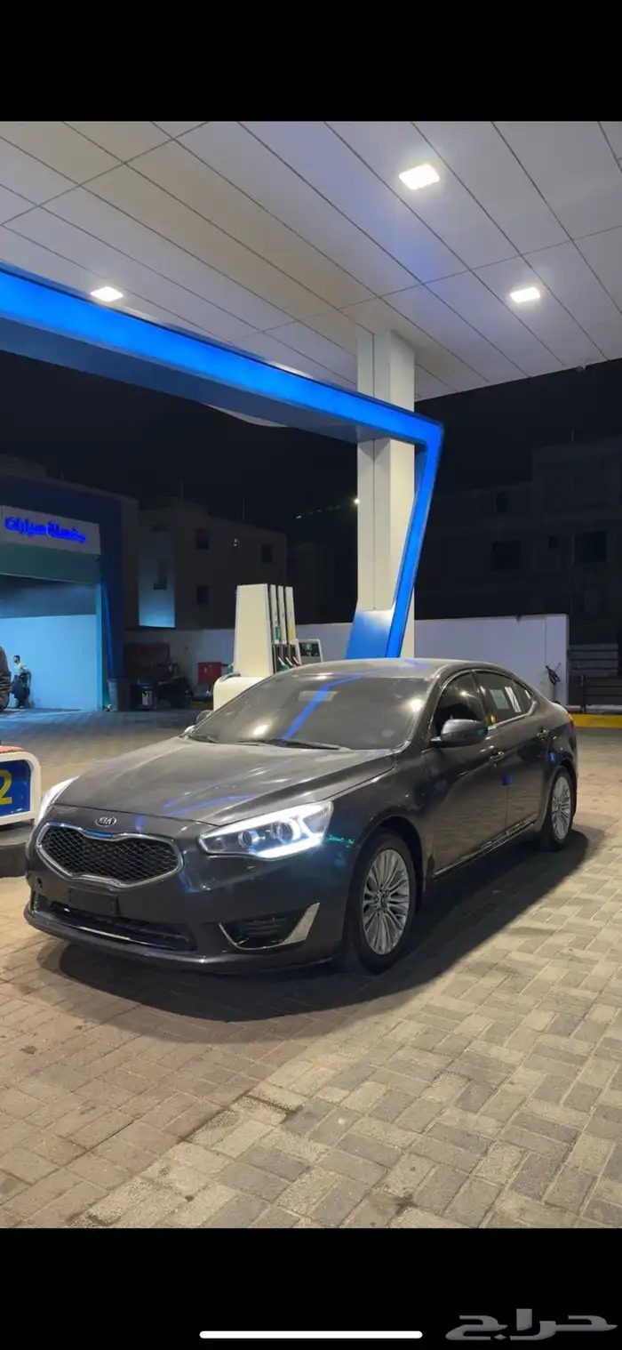 كادينزا 2014 7