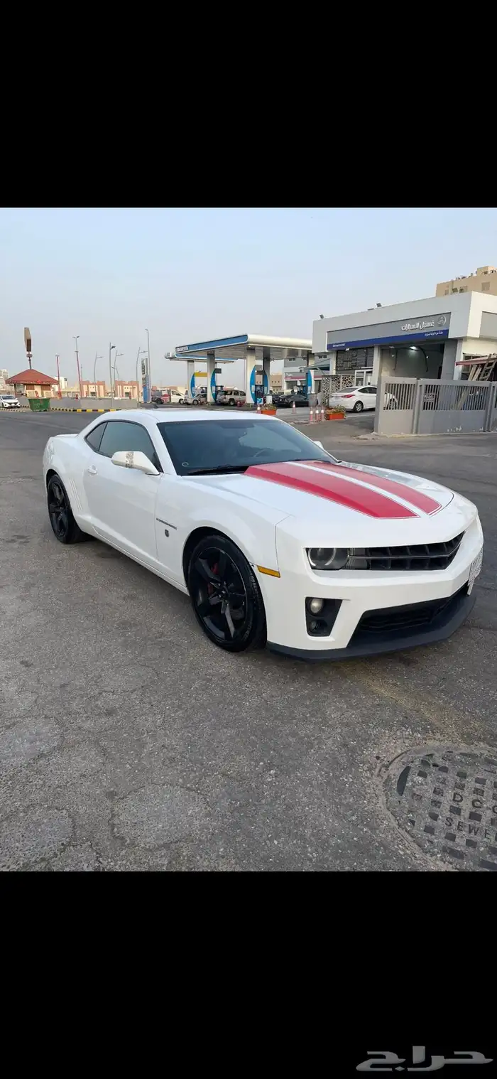 كومارو ss 2011 6