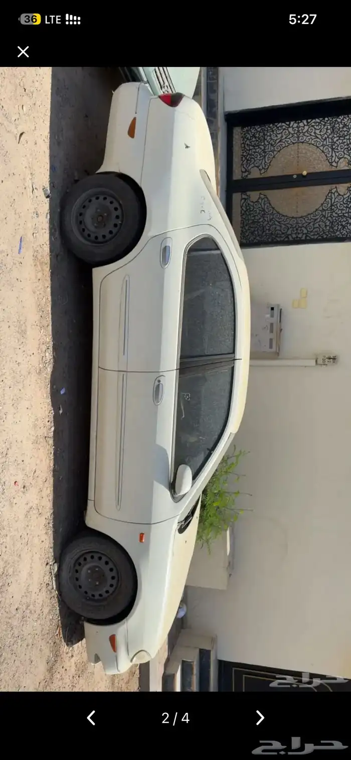 مكسيما تشليح 0